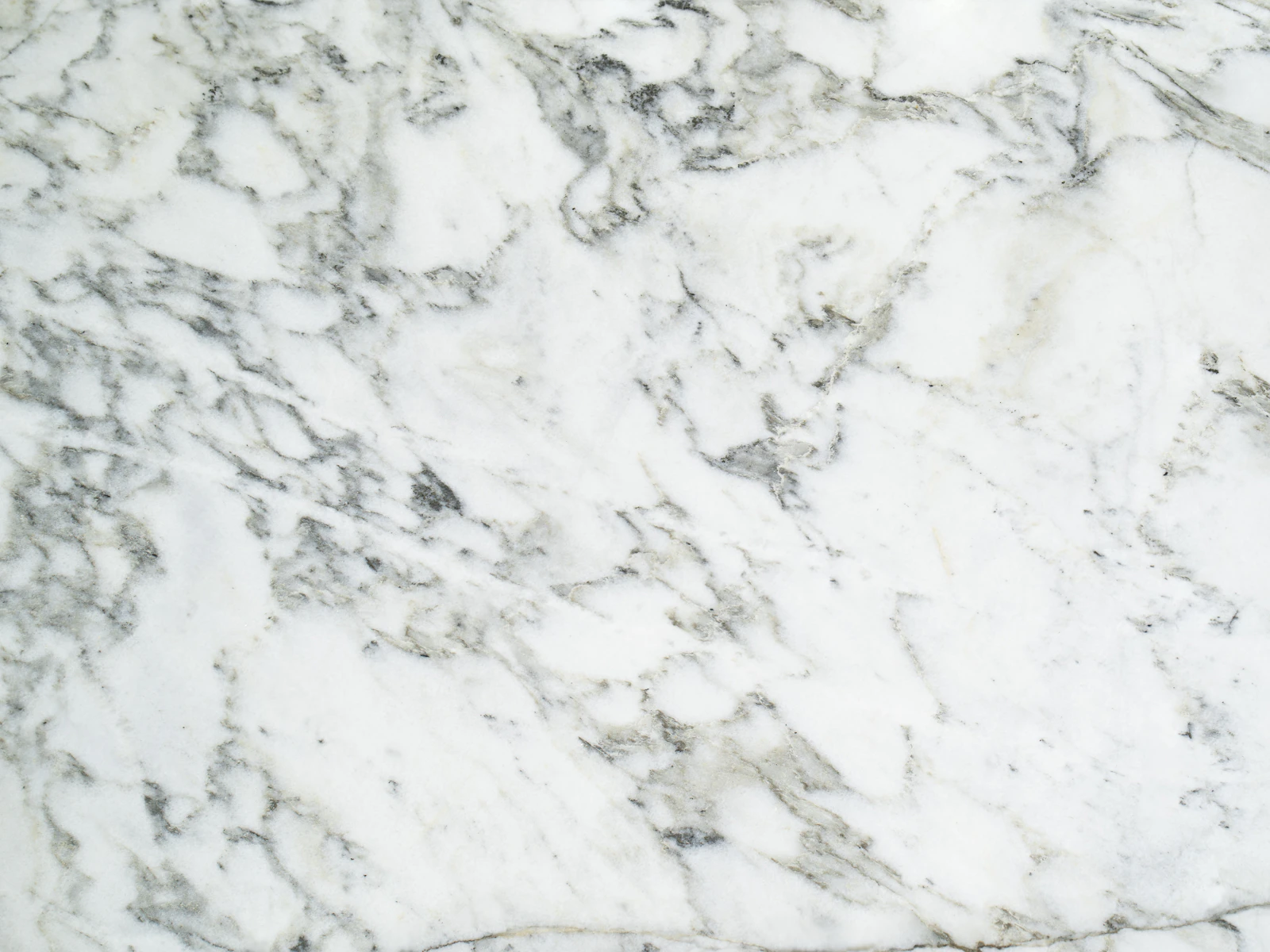 Statuario White Marble